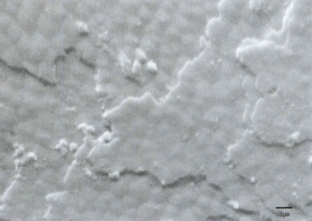 Figure 1-2-75 Surface structure of high-luster pearl layers (SEM)
