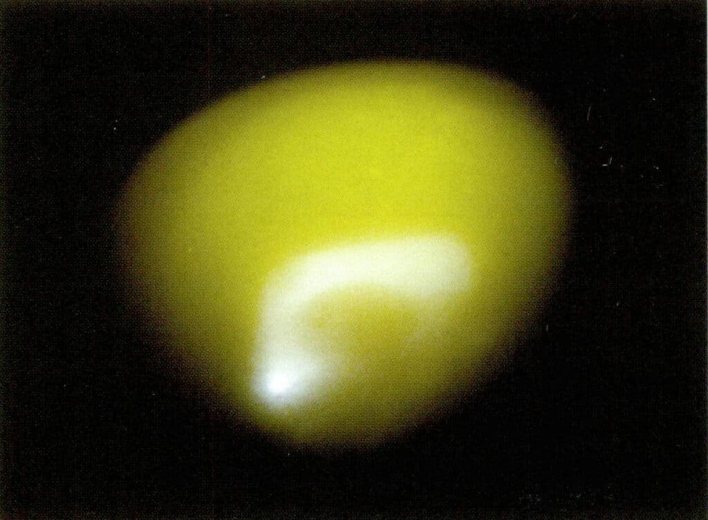 Figure 1-2-76 Cathode luminescence characteristics of freshwater cultured pearls