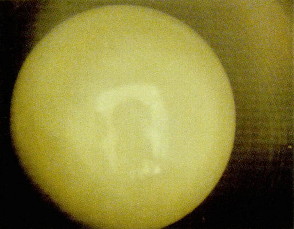 Figure 1-2-78 White seawater cultured pearls do not emit light under cathode ray excitation匚