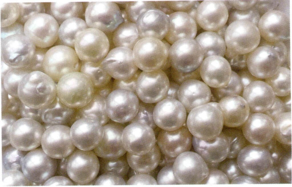 الشكل 1-3-2 الشكل 1-3-2 اللؤلؤ المستزرع في مياه البحر المستزرع في قوانغشي