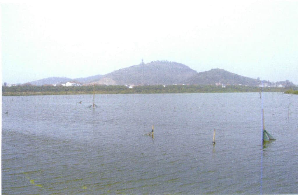 الشكل 1-3-15 مزرعة اللؤلؤ الواقعة عند سفح بحيرة جبل زوجي (2005)