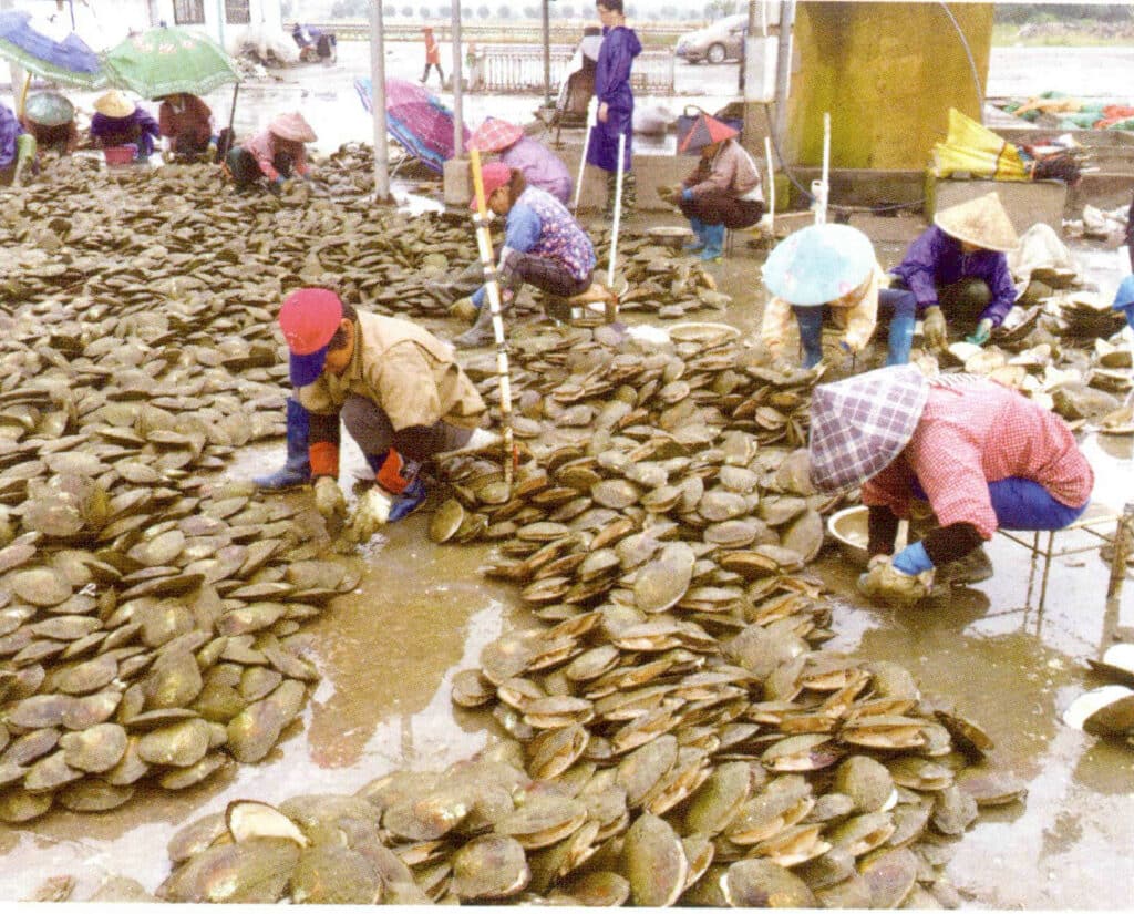 الشكل 1-3-26 موقع فتح البطلينوس المزدحم في بحيرة شانشا في الصيف (2017)