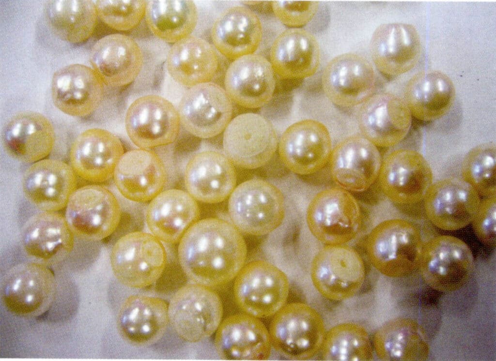 الشكل 1-3-36 لآلئ مياه البحر المستزرعة المستنبتة (النواة ظاهرة في المنطقة المتضررة)