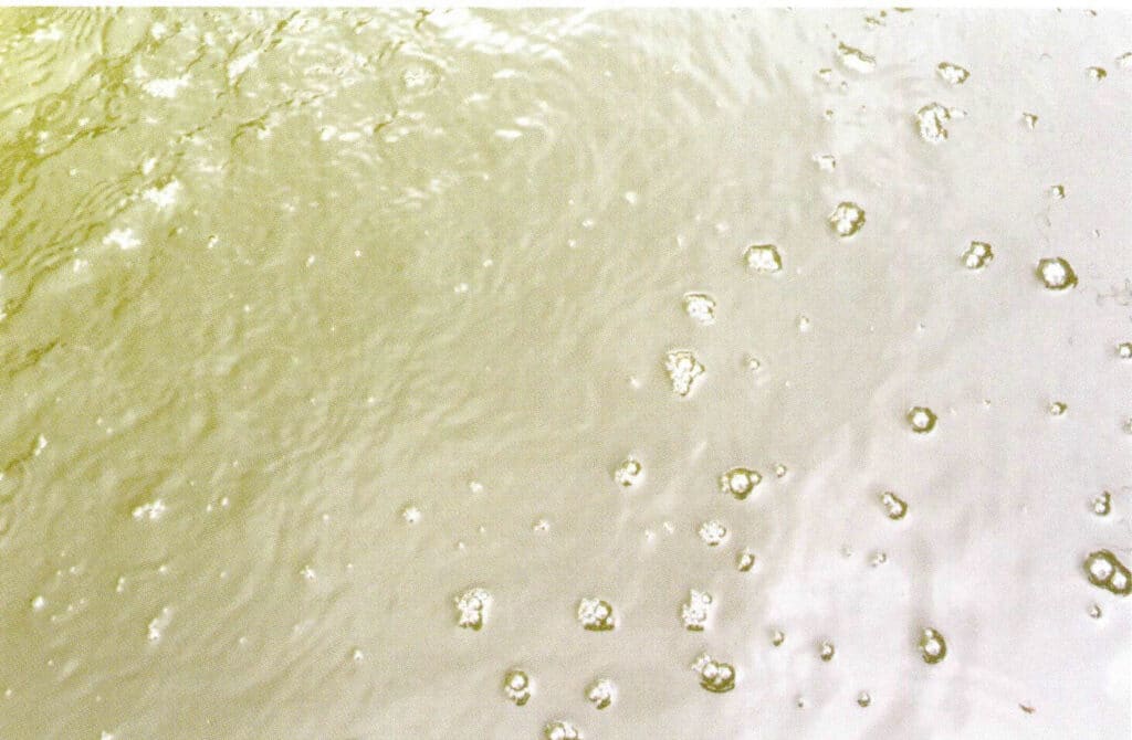 الشكل 1-3-50 منظر جزئي لحوض حضانة ماكترا