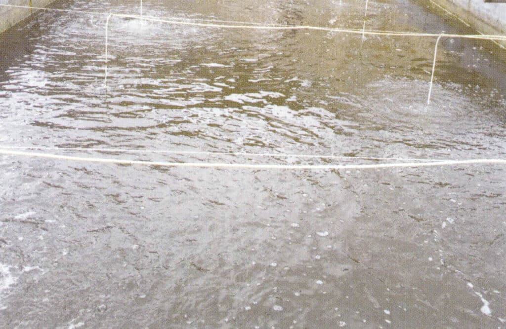 الشكل 1-3-3-51 مجمع التغذية