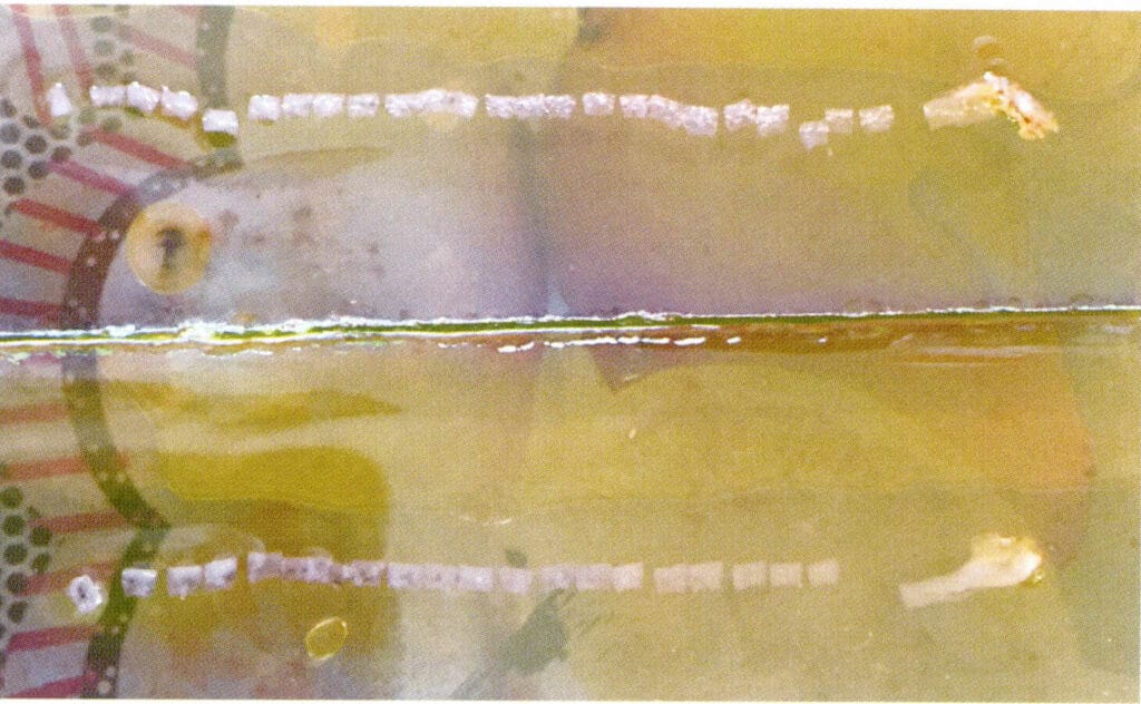 الشكل 1-3-60 قطع صغيرة من الغشاء الخارجي المراد زرعها