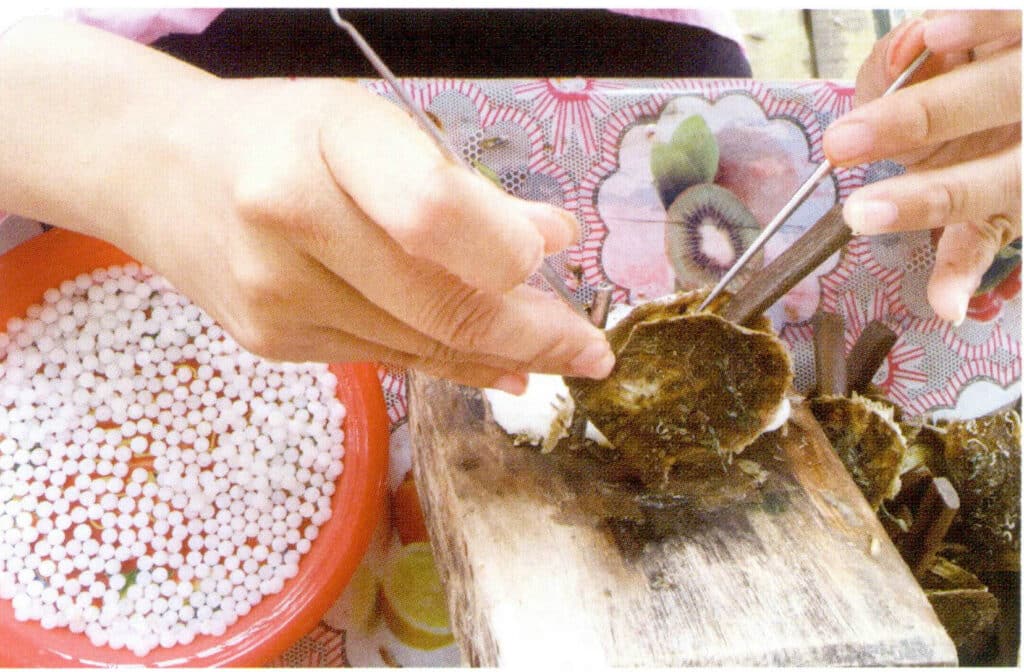 الشكل 1-3-65 إدخال النواة (II)