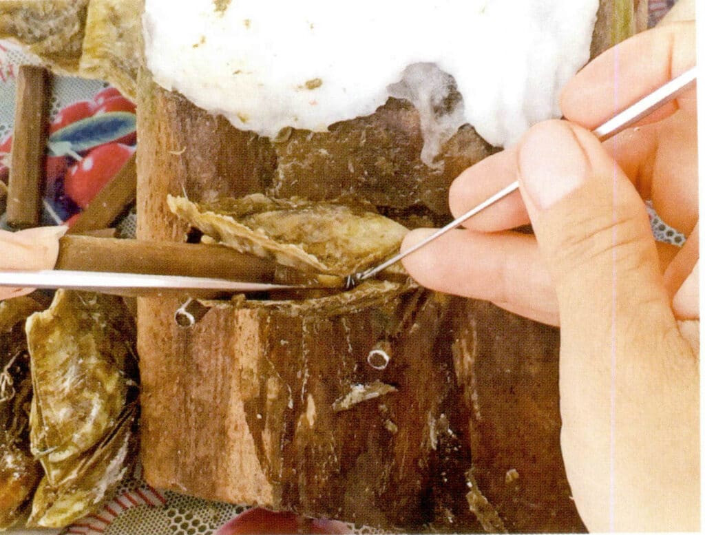 الشكل 1-3-3-66 إدخال النواة (III)