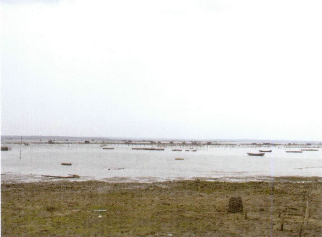 الشكل 1-3-3-68 منطقة زراعة اللؤلؤ