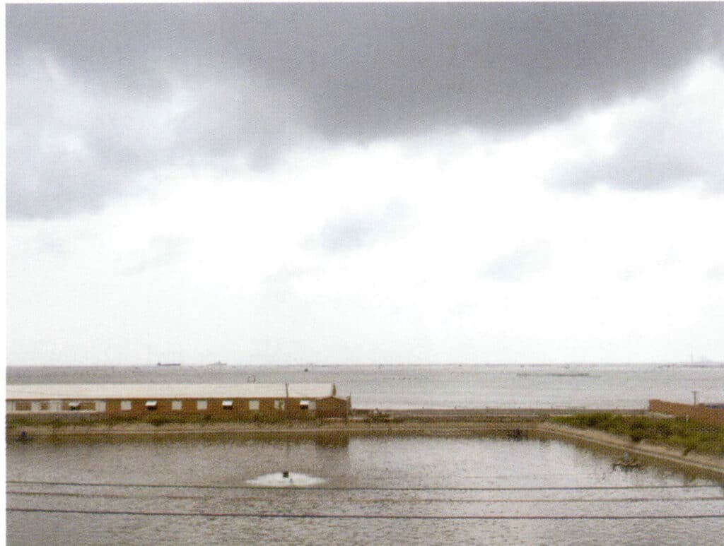 الشكل 1-3-3-69 منطقة تكاثر اللآلئ الجميلة