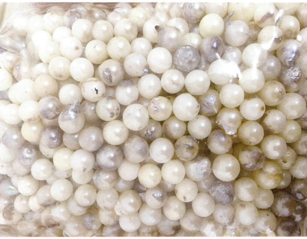 الشكل 1-3-3-71 اللؤلؤ المحصود (2)