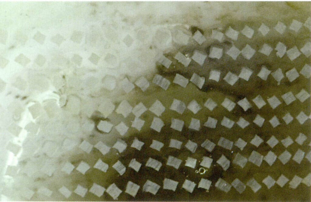 الشكل 1-3-81 قطع صغيرة مسبقة الصنع من الغشاء الصدفي