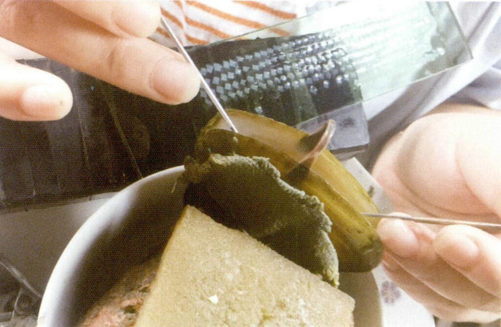 الشكل 1-3-83 أدخل النواة