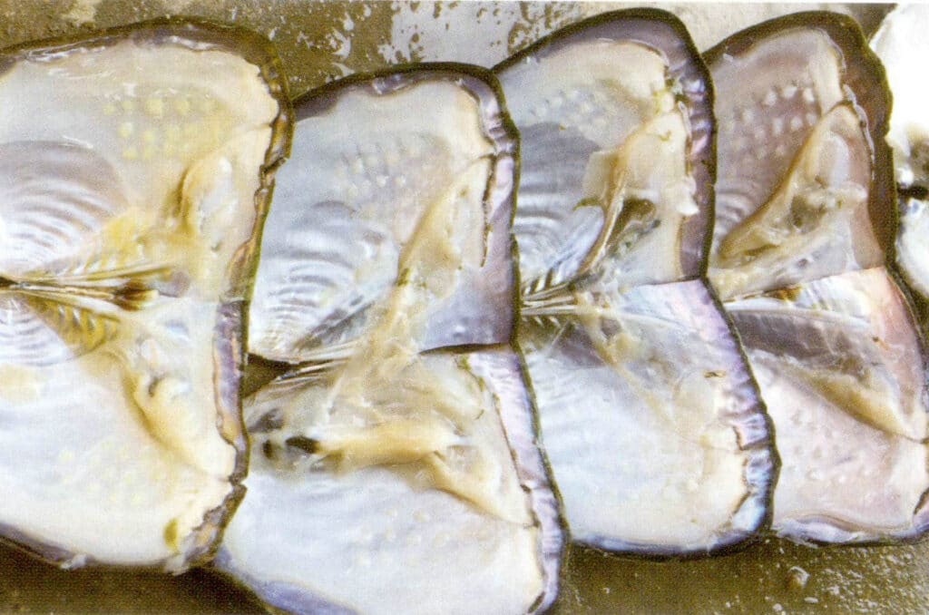 الشكل 1-3-3-85 موقع إدخال النواة