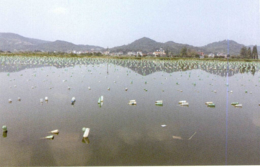 الشكل 1-3-90 منطقة مياه مزارع اللؤلؤ والعوامة(1)