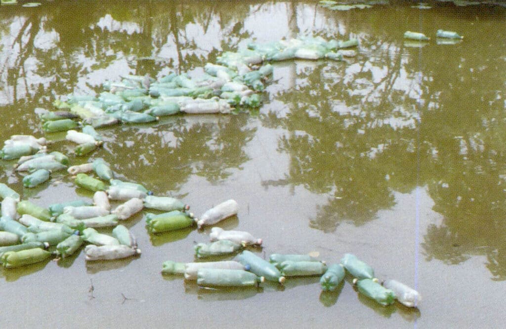 الشكل 1-3-96 المنطقة المائية التي مات فيها محار اللؤلؤ