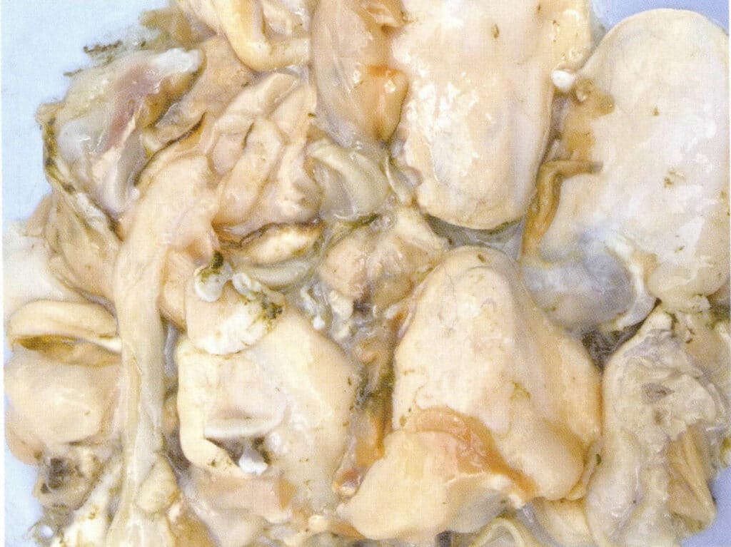 الشكل 1-3-114 لحم المحار بعد إزالة اللؤلؤة