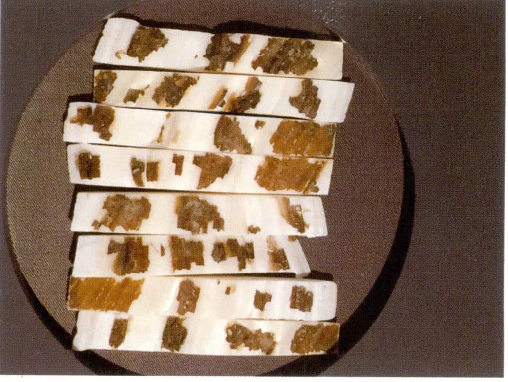 الشكل 1-3-119 إنتاج غلاف النواة 2