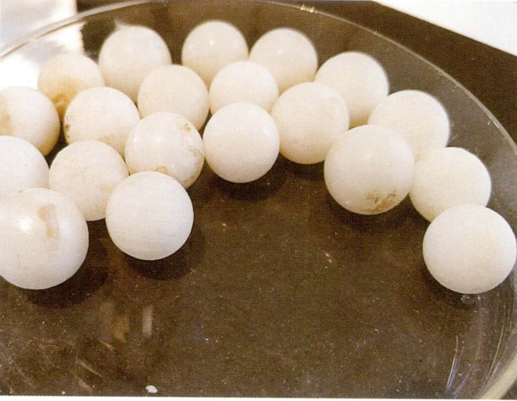 الشكل 1-3-121 إنتاج قشرة النواة 4