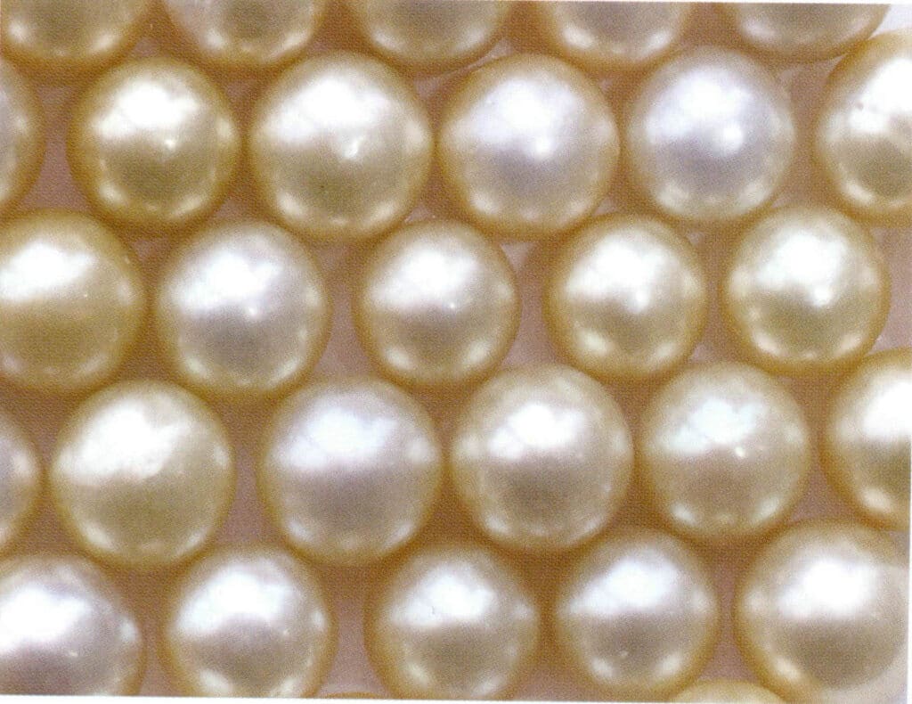 الشكل 1-4-5 اللؤلؤ المستزرع البحري