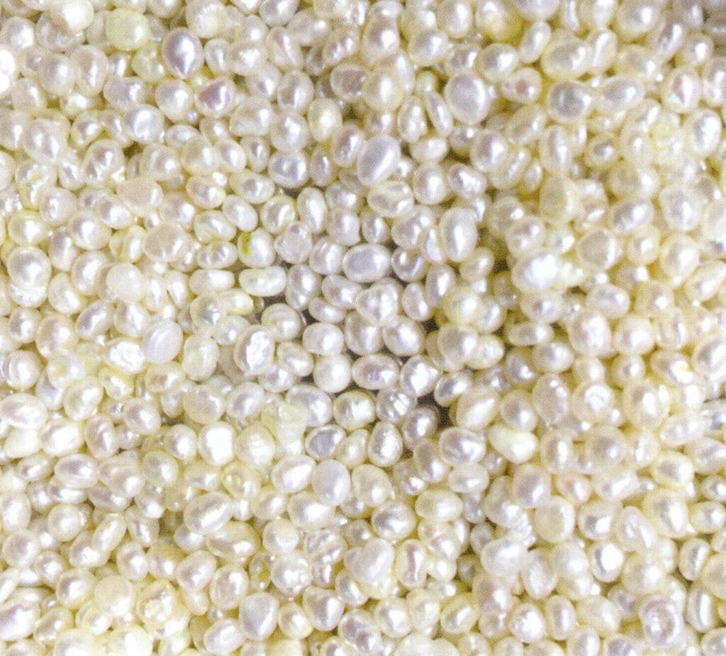 الشكل 1-4-6 لؤلؤة كيشي ماء البحر (التي تنتجها لؤلؤة البينكتادا مارتينسي)