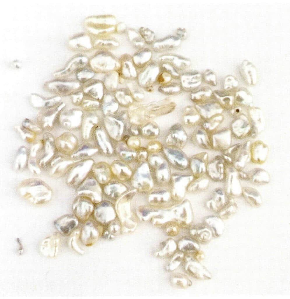 الشكل 1-4-9 لؤلؤة الكيشي (التي تنتجها لؤلؤة البينكتادا مارتينسي)