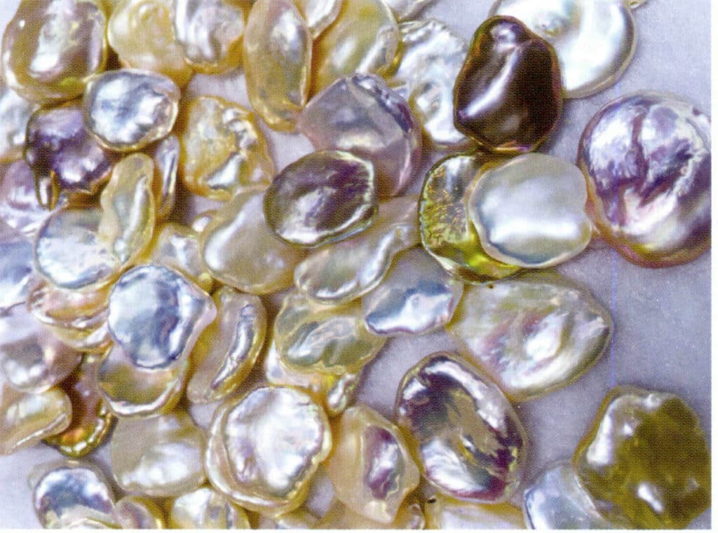 الشكل 1-4-10 لؤلؤة المياه العذبة المتجددة (1)