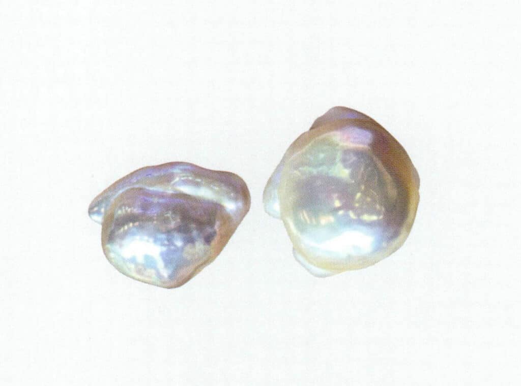 الشكل 1-4-11 لؤلؤة المياه العذبة المتجددة (2)