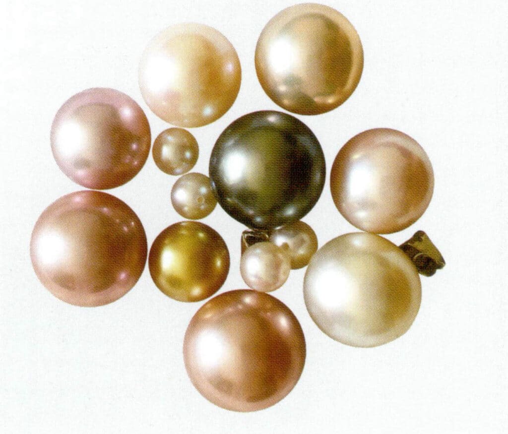 الشكل 1-4-18 اللؤلؤ المنوي (اللؤلؤ المستزرع في مياه البحر والمياه العذبة)