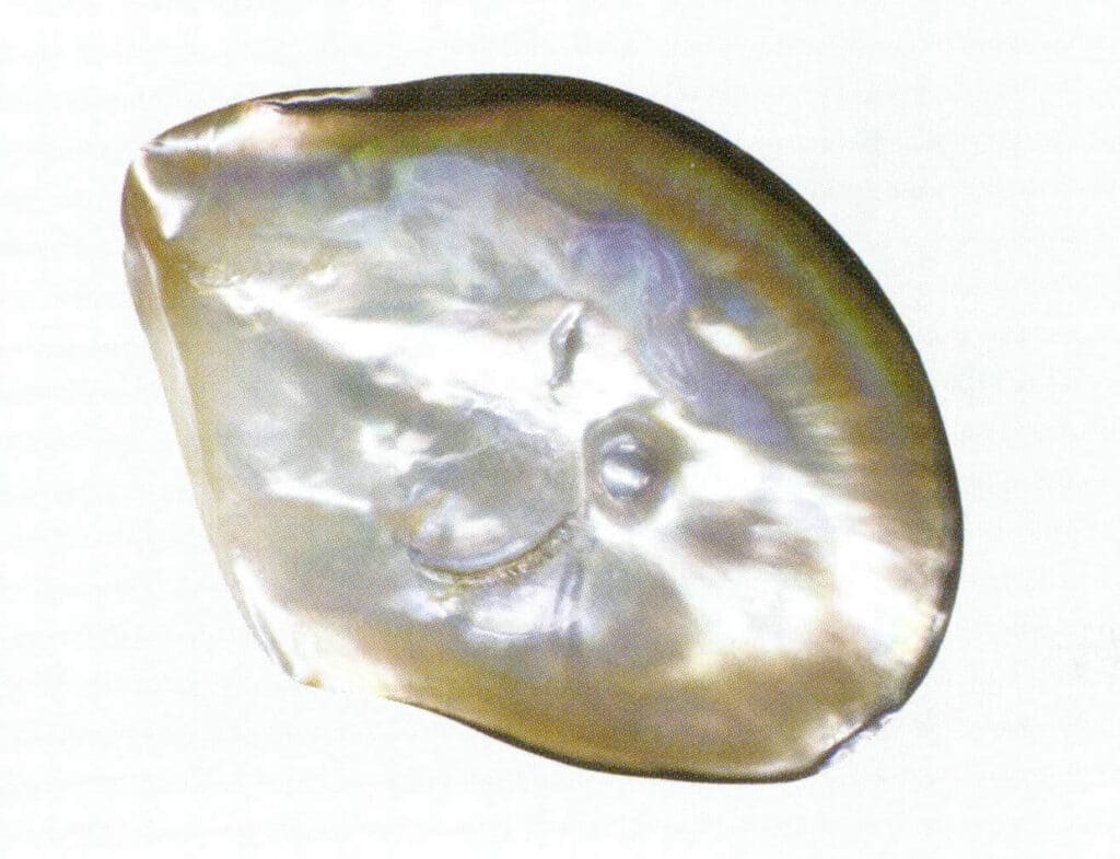 الشكل 1-4-21 لؤلؤة مابي 1