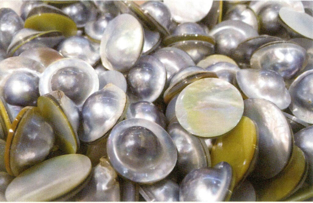 الشكل 1-4-22 لؤلؤة مابي 2