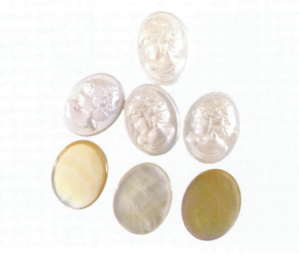 الشكل 1-4-23 لؤلؤة المياه العذبة مع الصدفة 1