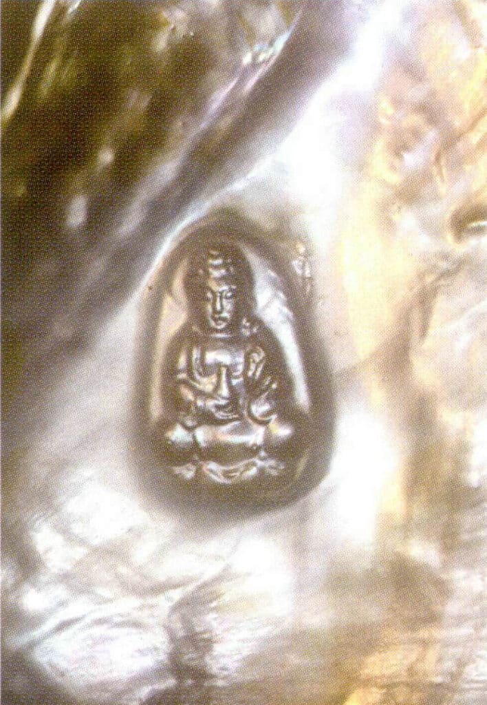 الشكل 1-4-24 لؤلؤة المياه العذبة مع الصدفة 2