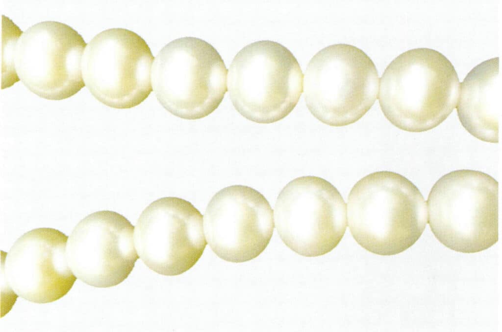 الشكل 1-4-32 لؤلؤة البحر الجنوبي البيضاء