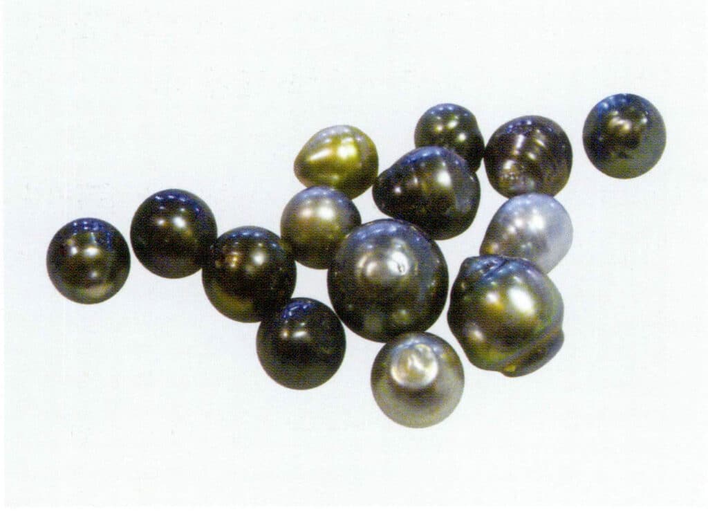 الشكل 1-4-34 ألوان اللؤلؤ التاهيتي (1)