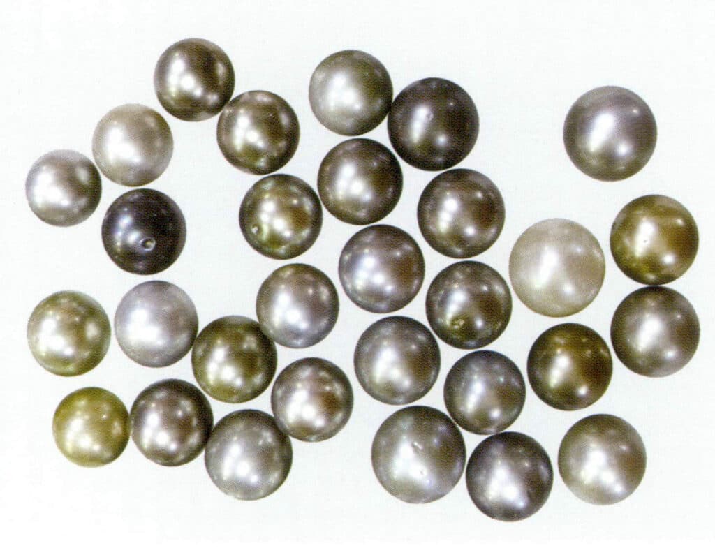 الشكل 1-4-35 ألوان اللؤلؤ التاهيتي (2)