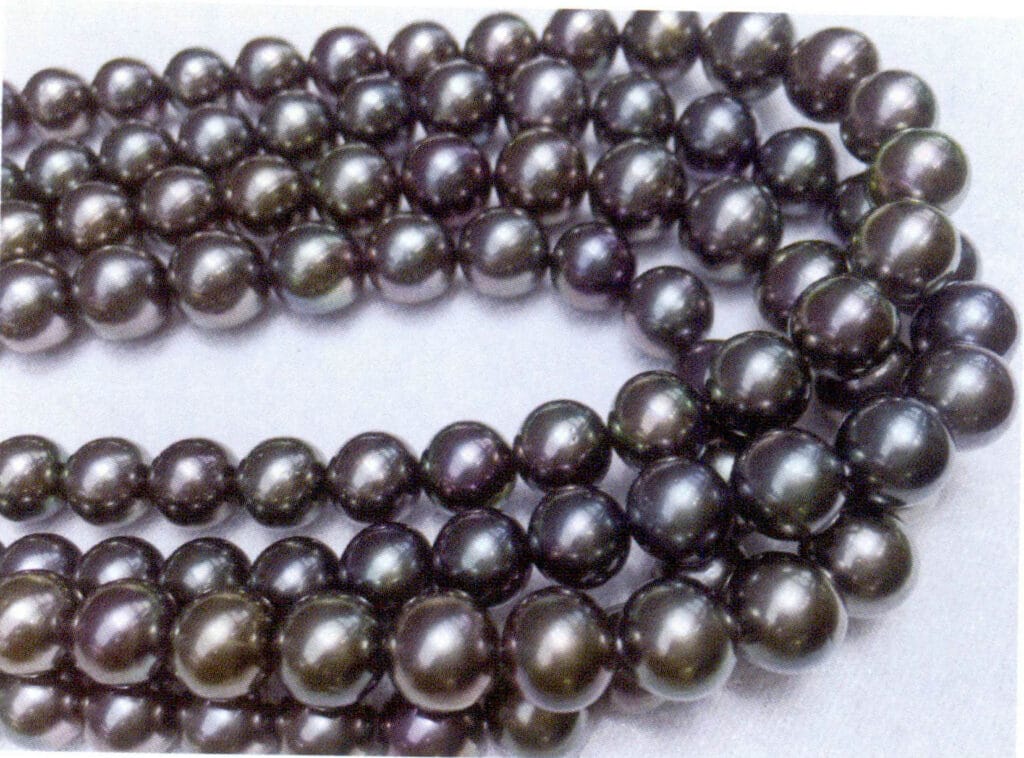 الشكل 1-4-37 لآلئ تاهيتي السوداء المستديرة