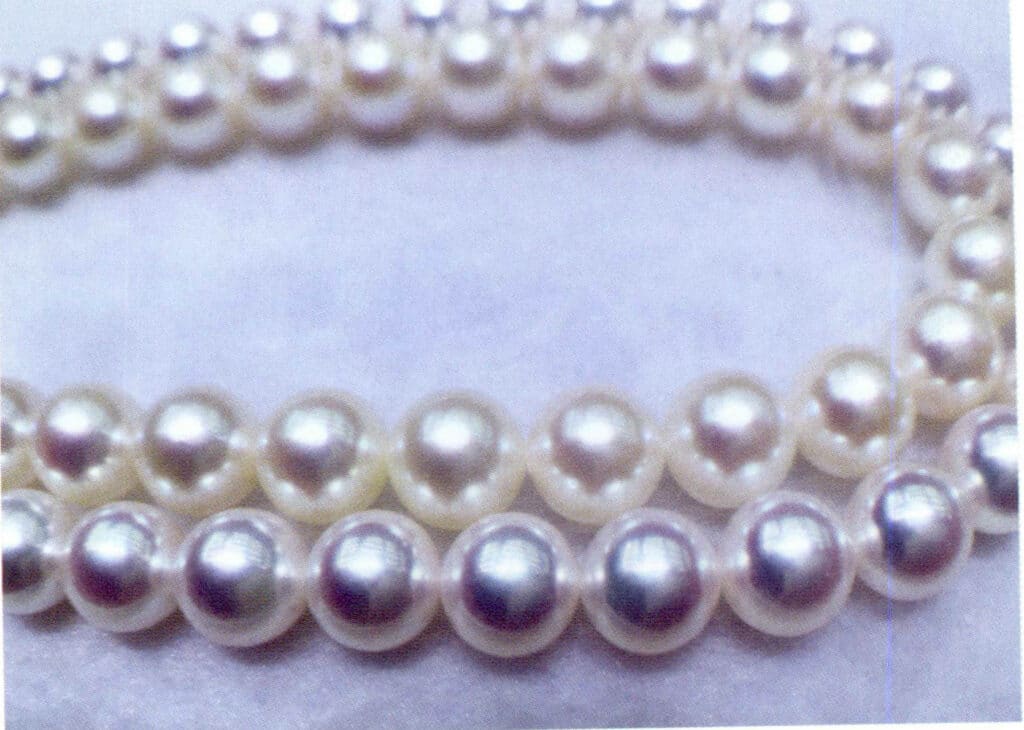 الشكل 1-4-38 لآلئ أكويا البيضاء والكريمية اللون