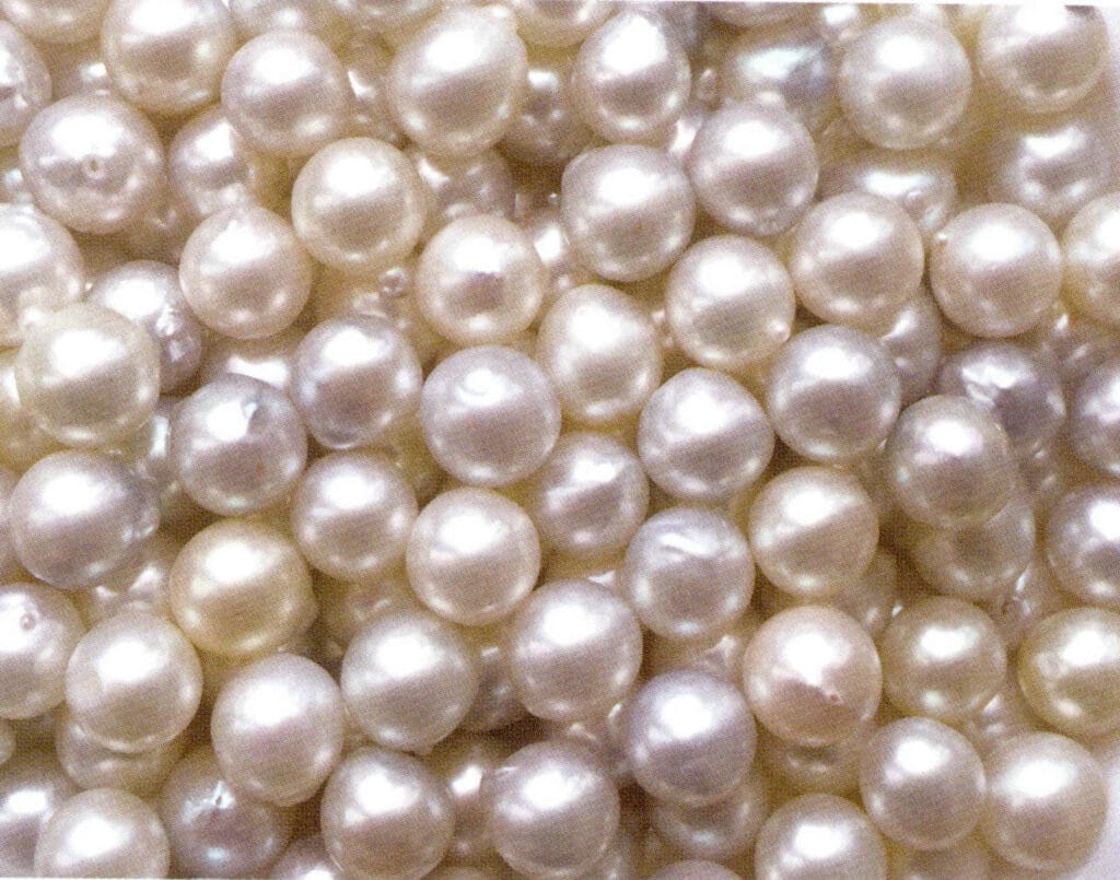 الشكل 1-4-40 لآلئ تربية الأحياء المائية البحرية الصينية (1)