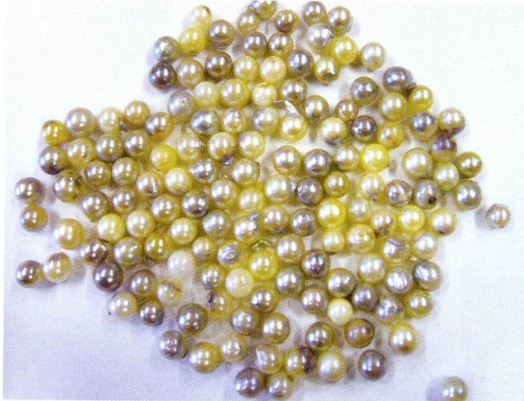 الشكل 1-4-41 لآلئ تربية الأحياء المائية البحرية الصينية (2)