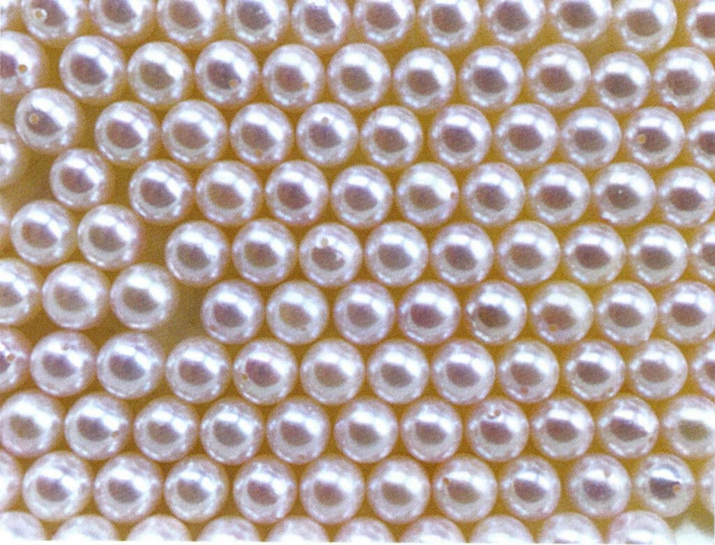 الشكل 1-4-42 لآلئ تربية الأحياء المائية البحرية الصينية (3)