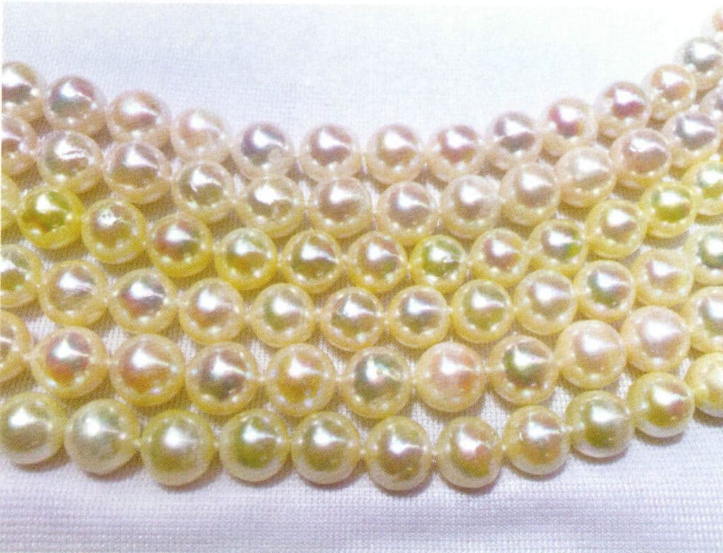 الشكل 1-4-43 لآلئ تربية الأحياء المائية البحرية الصينية (4)