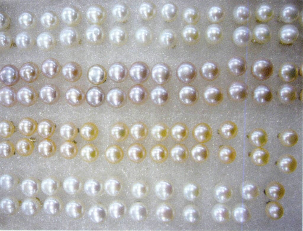 الشكل 1-4-44 لون لآلئ المياه العذبة المستزرعة (1)