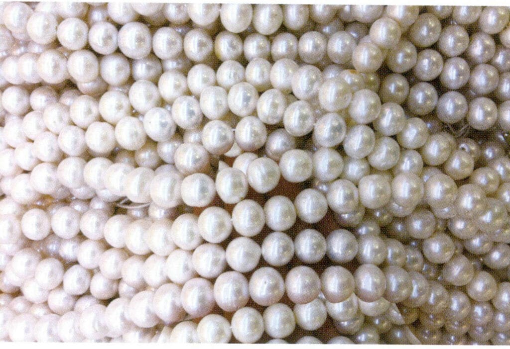 الشكل 1-4-46 لؤلؤة المياه العذبة المستزرعة شبه المستديرة