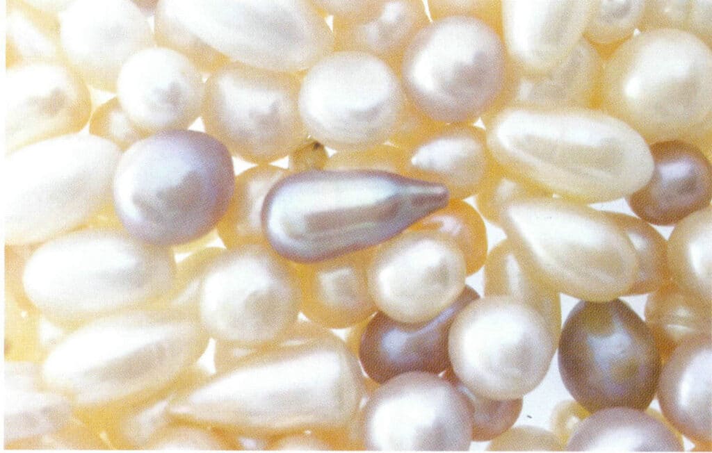 الشكل 1-4-49 لؤلؤة المياه العذبة المستزرعة على شكل قطرة ماء