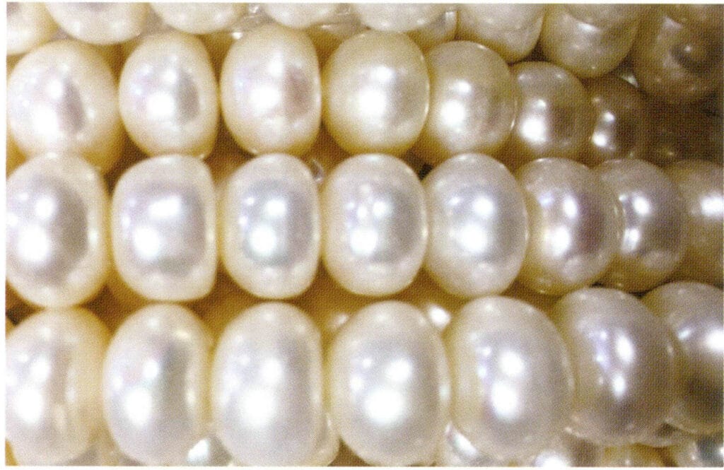 الشكل 1-4-51 لآلئ المياه العذبة المستزرعة على شكل كعكة ولآلئ المياه العذبة المستزرعة على شكل معداد