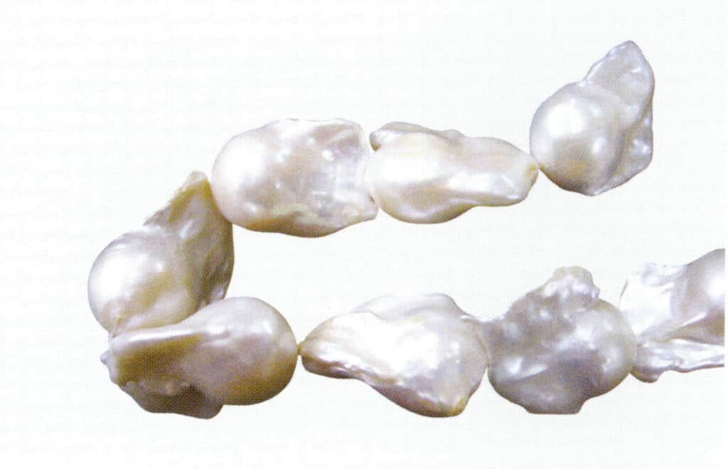 الشكل 1-4-56 لآلئ المياه العذبة المنواة ذات "ذيول" (1)