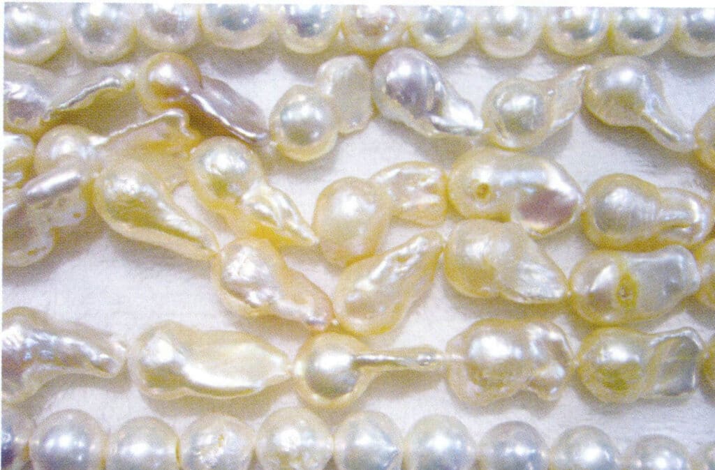 الشكل 1-4-57 لآلئ المياه العذبة المستزرعة ذات "الذيول" (2)