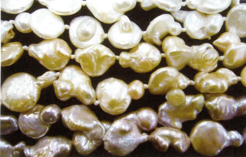 الشكل 1-4-58 لآلئ المياه العذبة المنواة ذات "ذيول" (3)