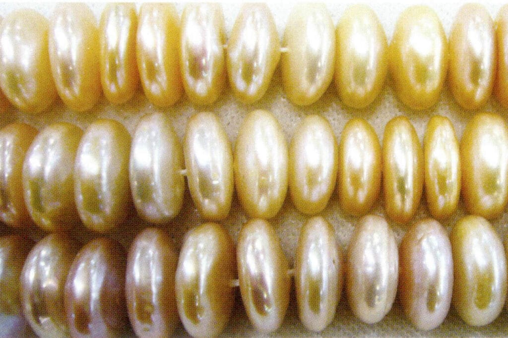 الشكل 1-4-63 لآلئ المياه العذبة المستزرعة على شكل أزرار (2)